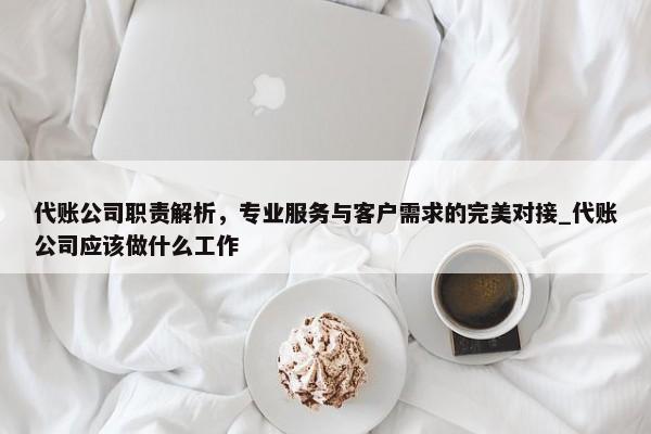 代账公司职责解析，专业服务与客户需求的完美对接_代账公司应该做什么工作