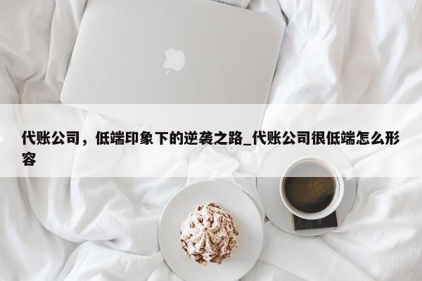 代账公司，低端印象下的逆袭之路_代账公司很低端怎么形容