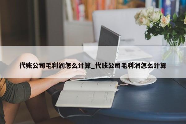 代账公司毛利润怎么计算_代账公司毛利润怎么计算