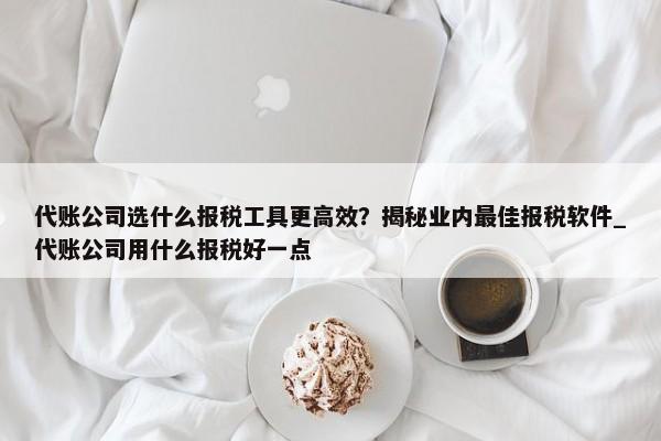 代账公司选什么报税工具更高效？揭秘业内最佳报税软件_代账公司用什么报税好一点