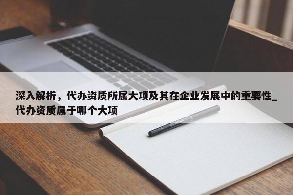 深入解析，代办资质所属大项及其在企业发展中的重要性_代办资质属于哪个大项