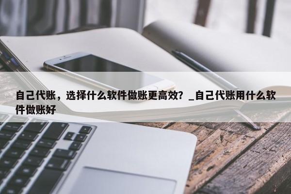 自己代账，选择什么软件做账更高效？_自己代账用什么软件做账好