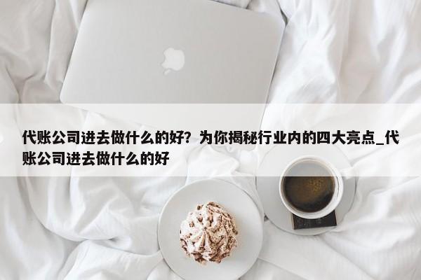 代账公司进去做什么的好？为你揭秘行业内的四大亮点_代账公司进去做什么的好