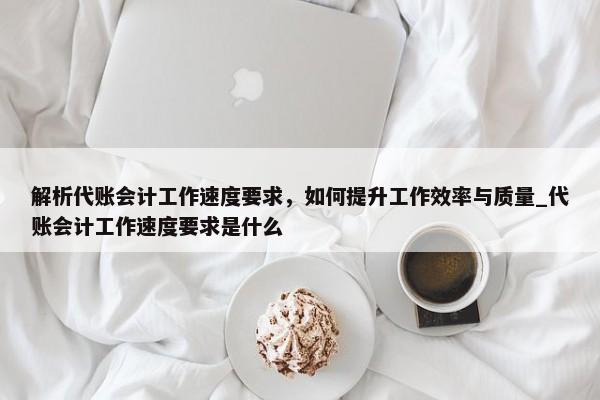 解析代账会计工作速度要求，如何提升工作效率与质量_代账会计工作速度要求是什么